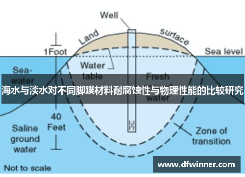 海水与淡水对不同脚蹼材料耐腐蚀性与物理性能的比较研究