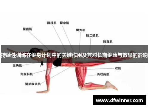 持续性训练在健身计划中的关键作用及其对长期健康与效果的影响