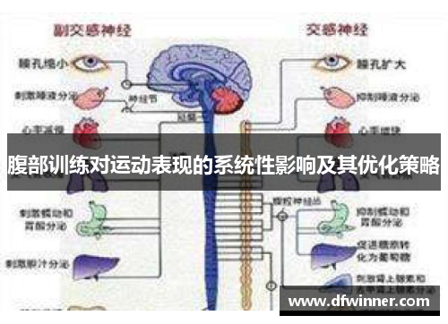 腹部训练对运动表现的系统性影响及其优化策略