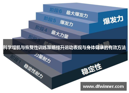 科学增肌与恢复性训练策略提升运动表现与身体健康的有效方法